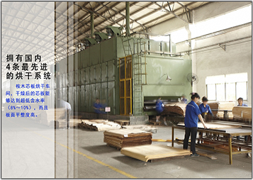 E0榉木胶合板生产流程