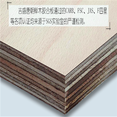 吉盛唐朝榉木防水胶合板通过英国BS1088-1:2003海洋胶合板标准认证