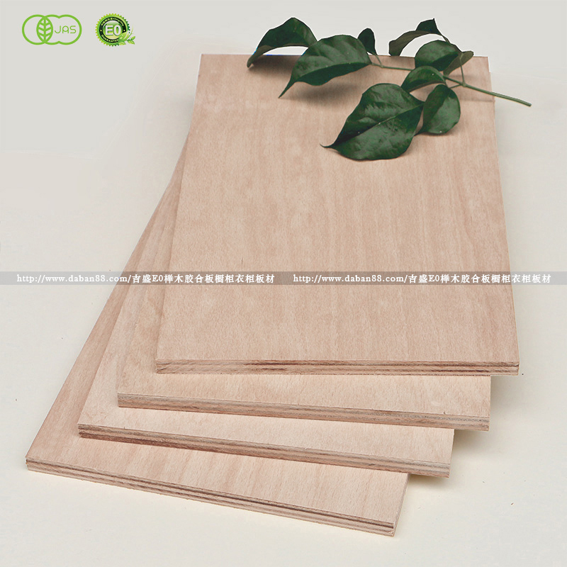 3米66加长家具板(大尺寸可达4x 12尺)榉木胶合板