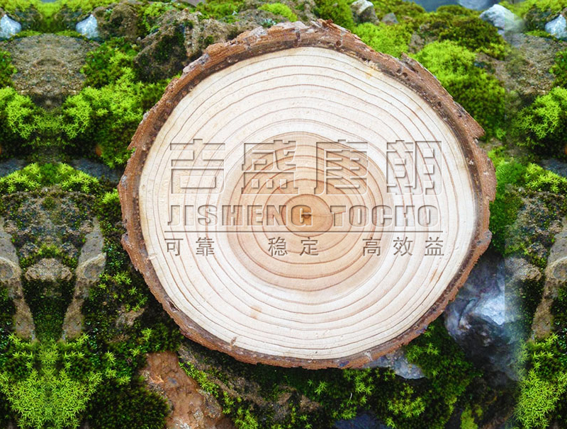 榉木多层实木夹板，大自然地板的优质原材料